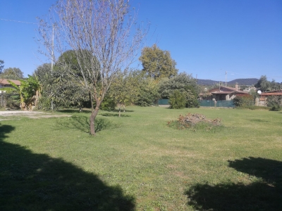 immagine annuncio 7 di 9