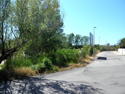 immagine annuncio 8 di 9