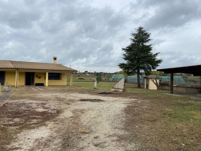 immagine annuncio 2 di 9