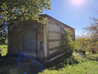 immagine annuncio 1 di 9