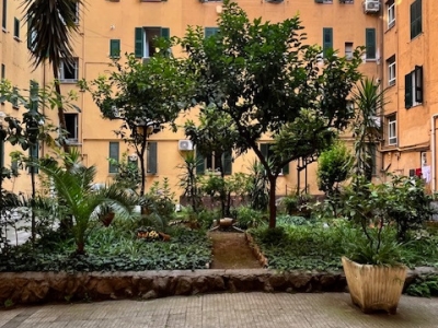 immagine annuncio 5 di 9