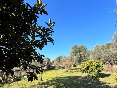 immagine annuncio 3 di 9