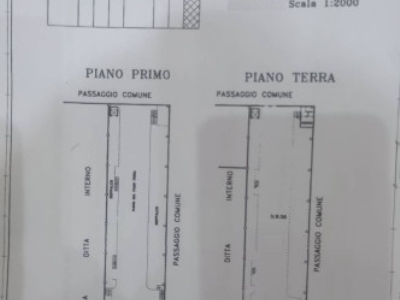 immagine annuncio 7 di 8