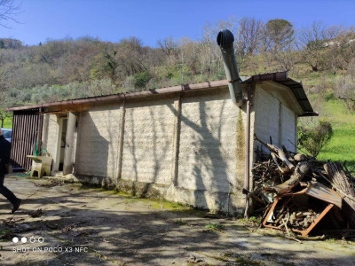 immagine annuncio 2 di 9
