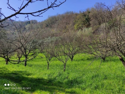 immagine annuncio 8 di 9