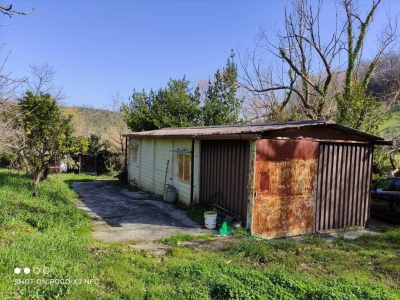 immagine annuncio 1 di 9
