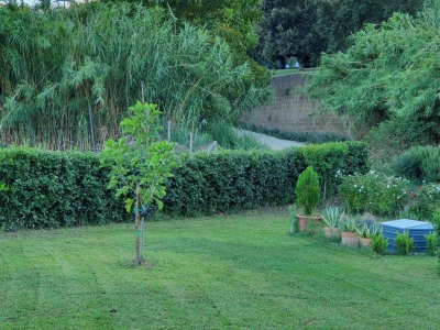 immagine annuncio 6 di 9