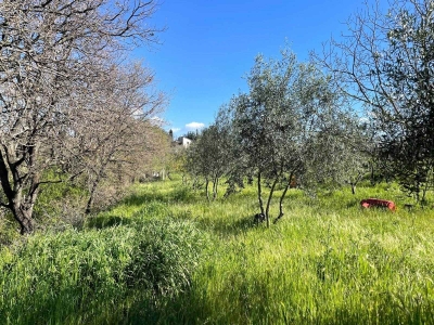 immagine annuncio 3 di 9