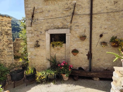 immagine annuncio 6 di 9