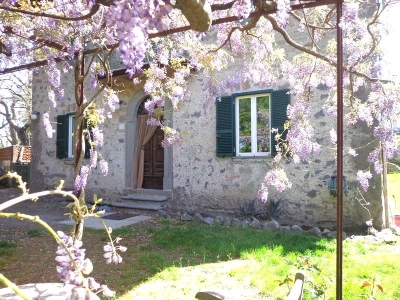 immagine annuncio 1 di 9