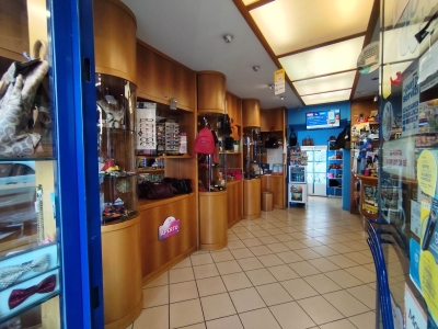 immagine annuncio 6 di 9