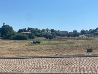 immagine annuncio 6 di 8