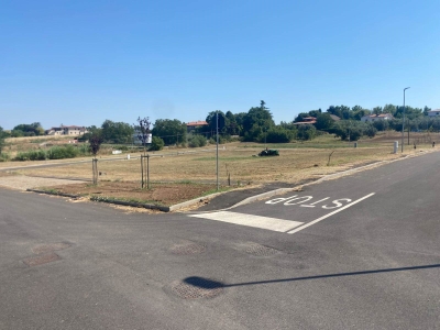 immagine annuncio 4 di 8