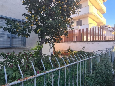 immagine annuncio 2 di 9