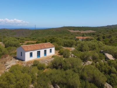 immagine annuncio 3 di 9