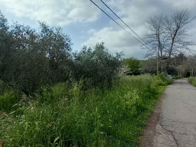 immagine annuncio 1 di 2