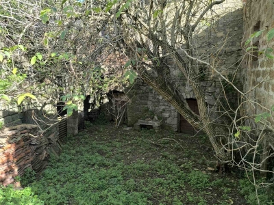 immagine annuncio 6 di 9