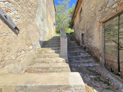 immagine annuncio 5 di 9