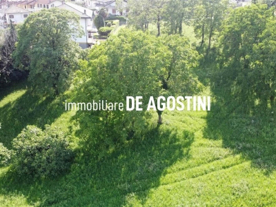 immagine annuncio 2 di 6