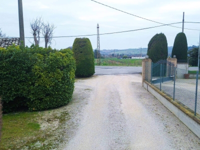 immagine annuncio 4 di 8