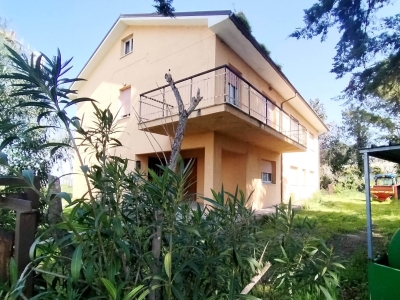 immagine annuncio 2 di 9