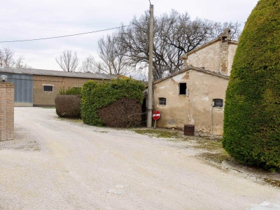 immagine annuncio 3 di 8