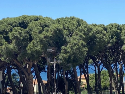 immagine annuncio 1 di 9