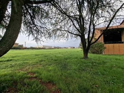 immagine annuncio 1 di 9