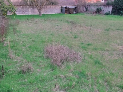 immagine annuncio 1 di 9