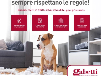 immagine annuncio 3 di 4