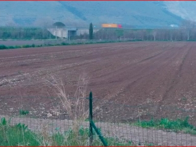 immagine annuncio 1 di 6