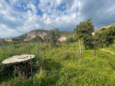 immagine annuncio 5 di 9