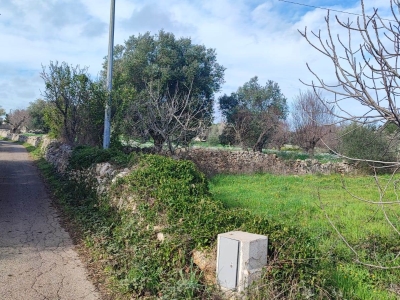 immagine annuncio 6 di 7