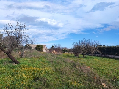 immagine annuncio 4 di 7