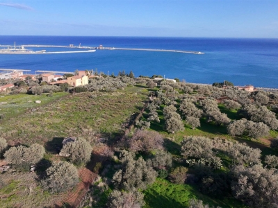 immagine annuncio 2 di 9