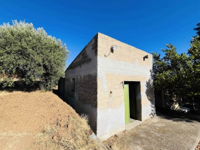 immagine annuncio 3 di 9