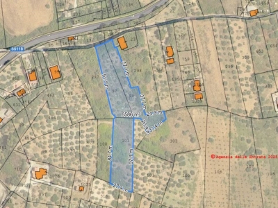 immagine annuncio 1 di 2