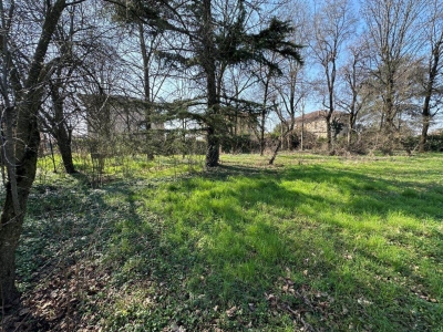 immagine annuncio 6 di 9