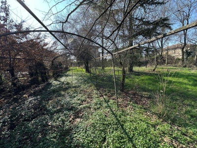 immagine annuncio 8 di 9