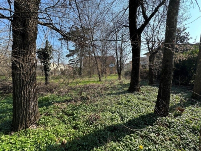 immagine annuncio 3 di 9