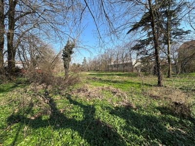 immagine annuncio 5 di 9