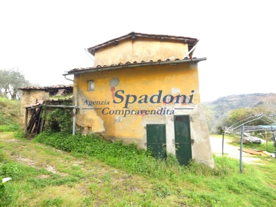 immagine annuncio 4 di 9