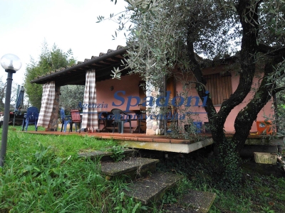 immagine annuncio 3 di 9