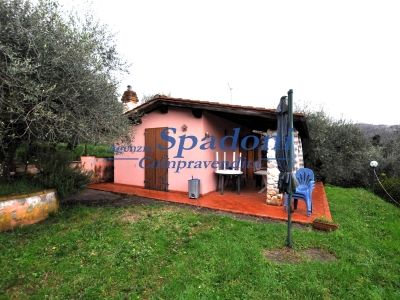 immagine annuncio 2 di 9