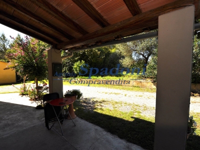 immagine annuncio 3 di 9