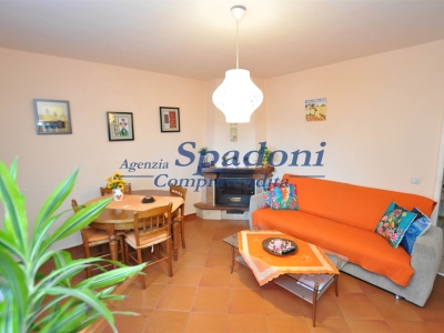 immagine annuncio 7 di 9