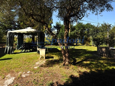 immagine annuncio 4 di 9