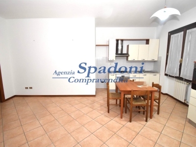 immagine annuncio 6 di 9