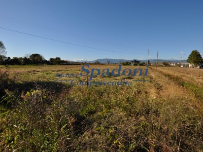 immagine annuncio 8 di 9