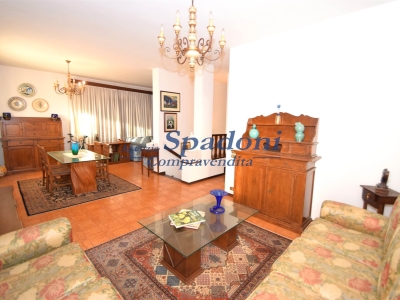 immagine annuncio 3 di 9